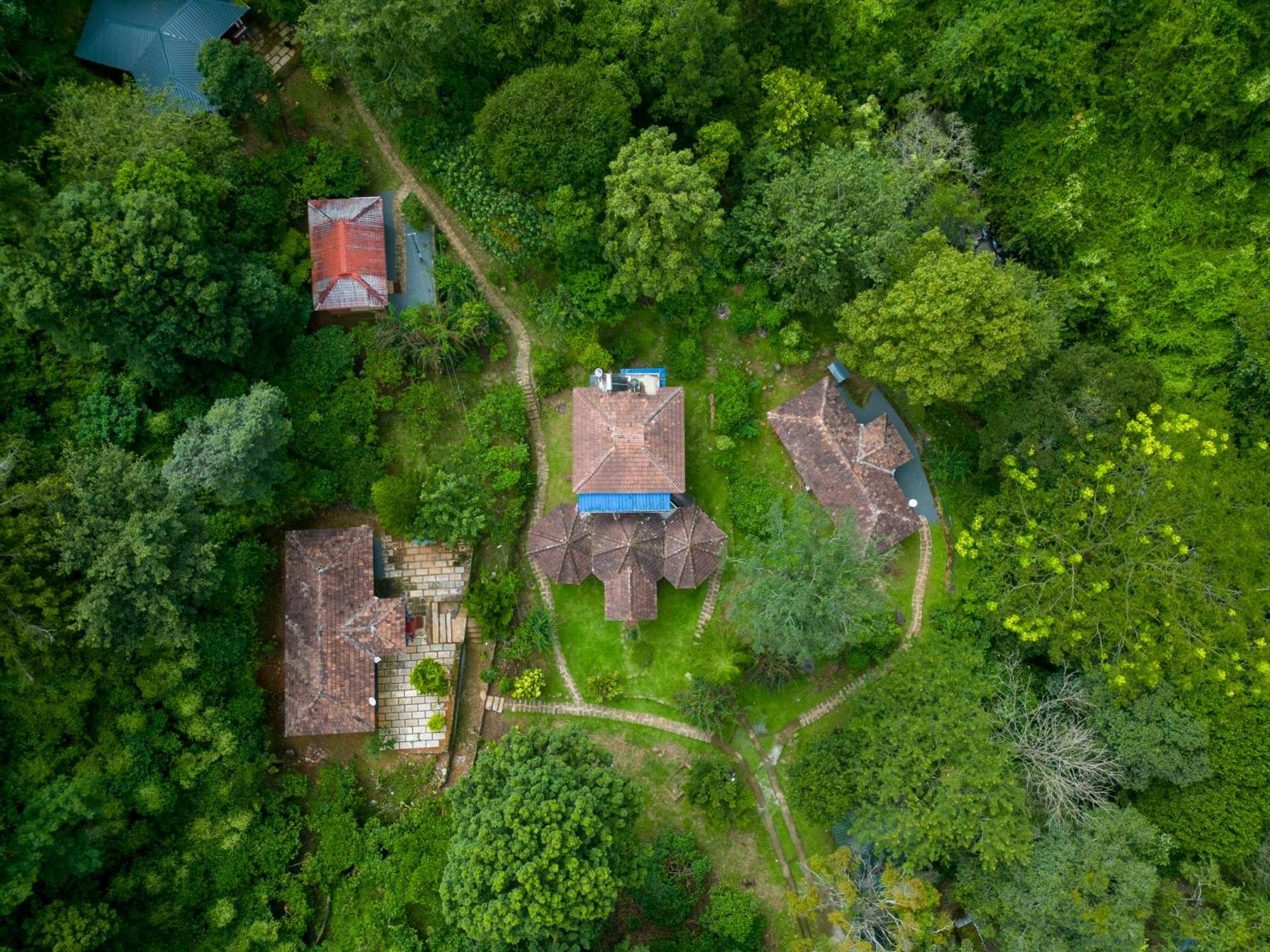 Mahout Resort Wayanad - An Experiential Jungle Stay With Waterfall Kalpatta Zewnętrze zdjęcie