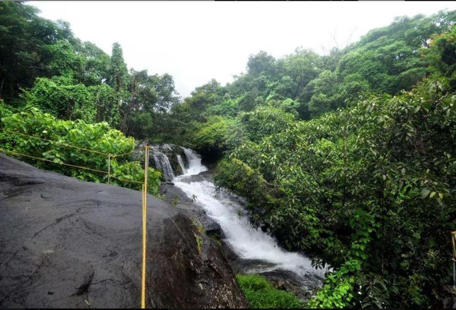 Mahout Resort Wayanad - An Experiential Jungle Stay With Waterfall Kalpatta Zewnętrze zdjęcie