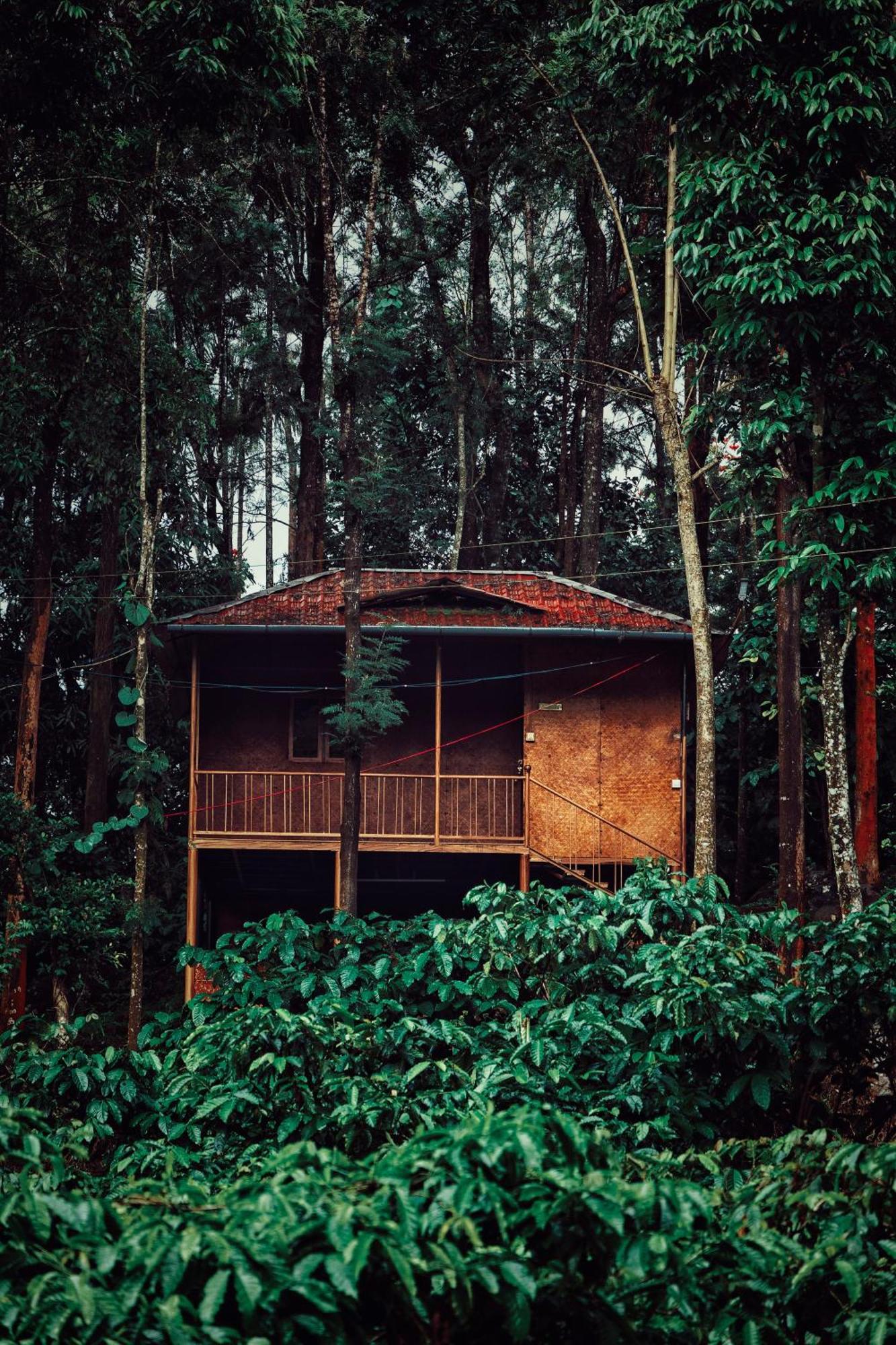 Mahout Resort Wayanad - An Experiential Jungle Stay With Waterfall Kalpatta Zewnętrze zdjęcie