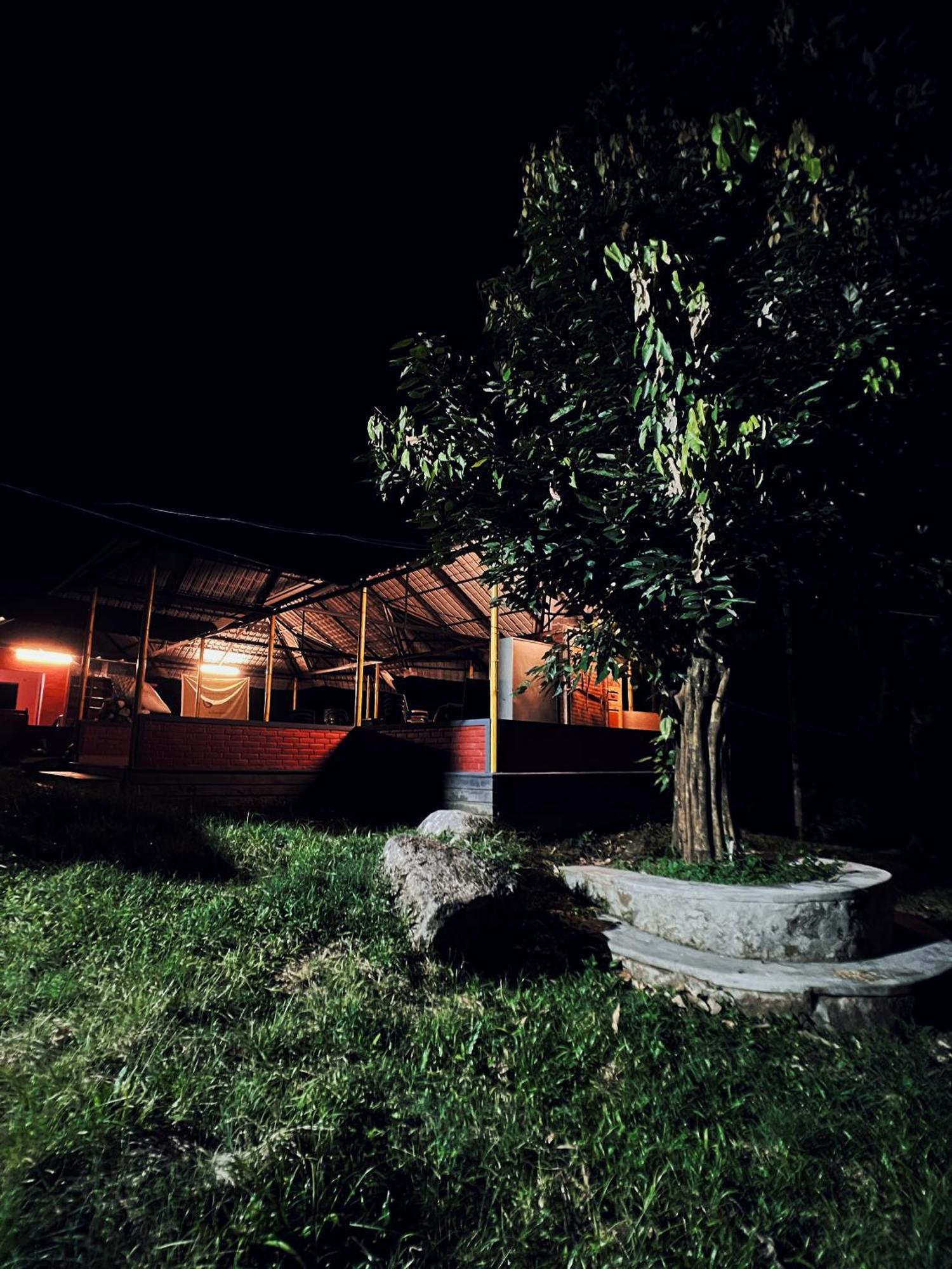 Mahout Resort Wayanad - An Experiential Jungle Stay With Waterfall Kalpatta Zewnętrze zdjęcie