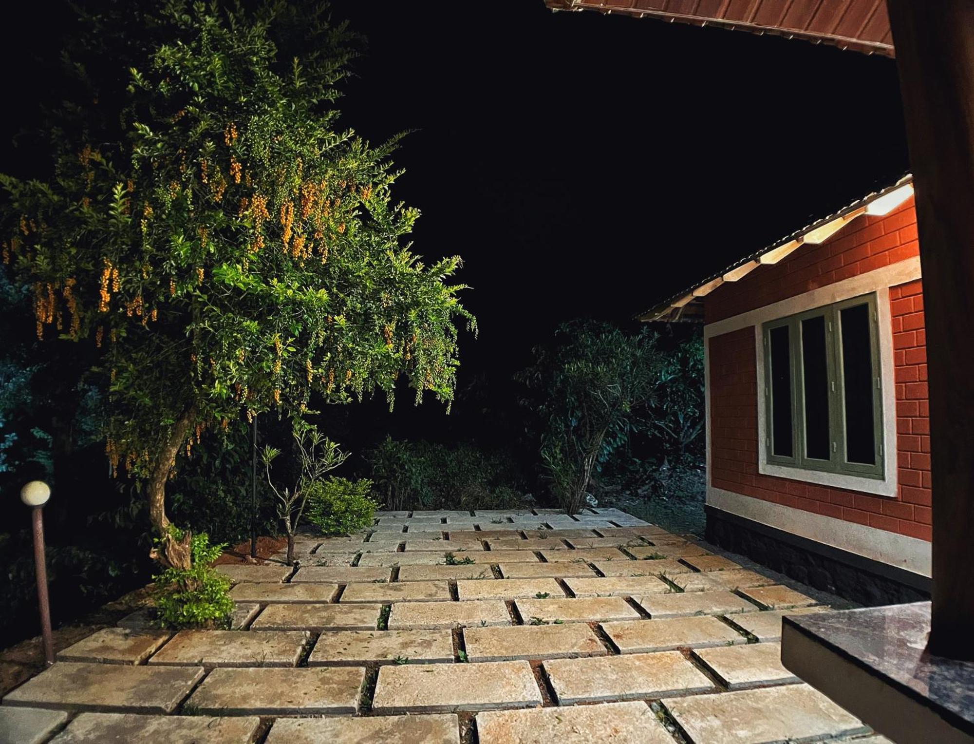 Mahout Resort Wayanad - An Experiential Jungle Stay With Waterfall Kalpatta Zewnętrze zdjęcie