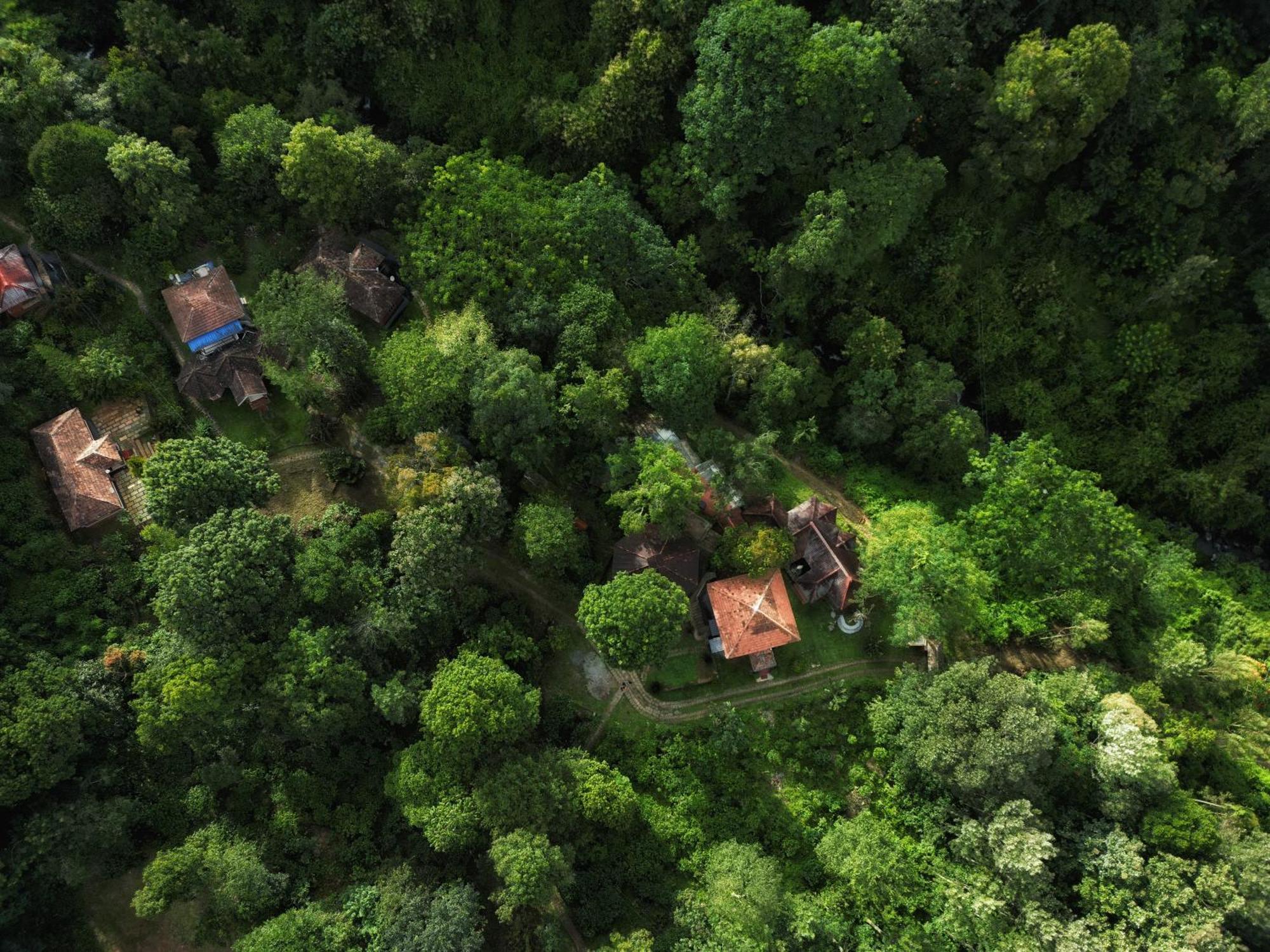Mahout Resort Wayanad - An Experiential Jungle Stay With Waterfall Kalpatta Zewnętrze zdjęcie