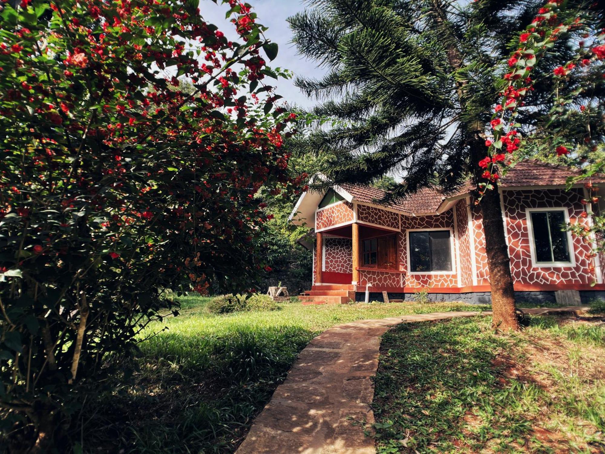 Mahout Resort Wayanad - An Experiential Jungle Stay With Waterfall Kalpatta Zewnętrze zdjęcie