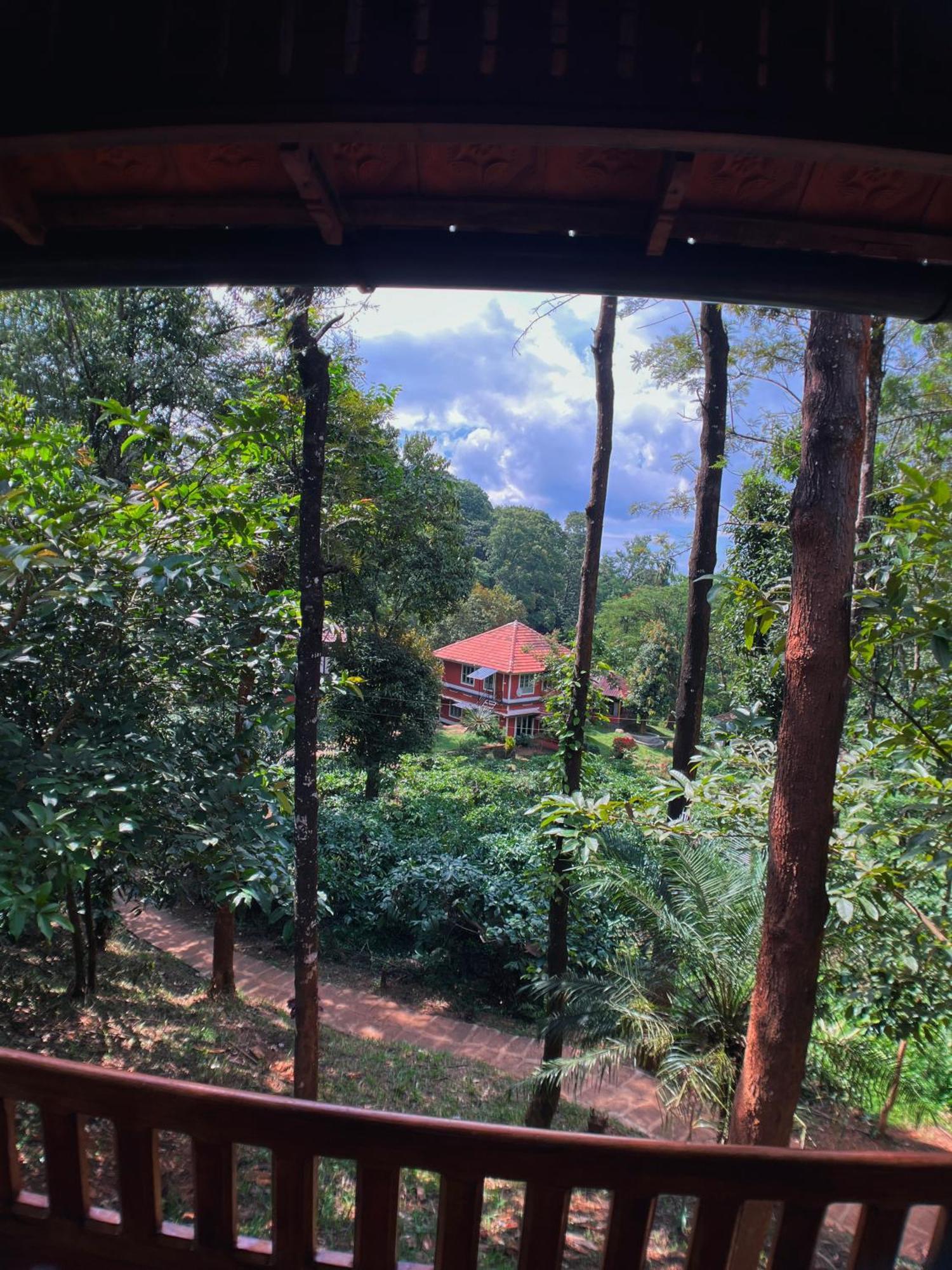 Mahout Resort Wayanad - An Experiential Jungle Stay With Waterfall Kalpatta Zewnętrze zdjęcie