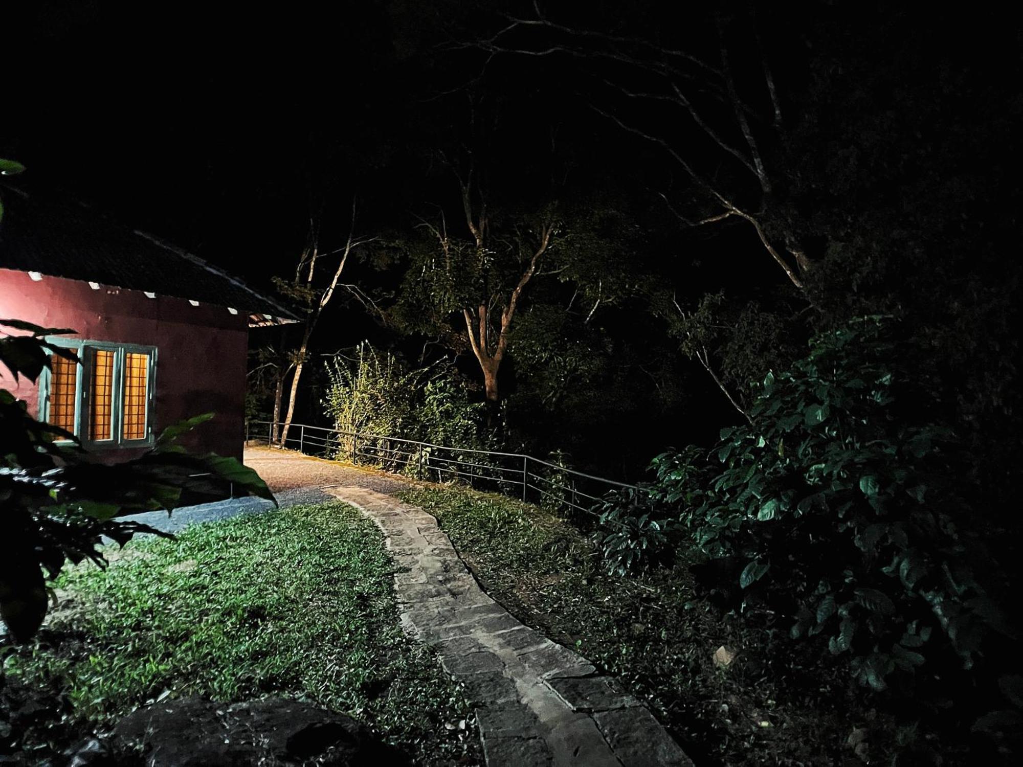 Mahout Resort Wayanad - An Experiential Jungle Stay With Waterfall Kalpatta Zewnętrze zdjęcie