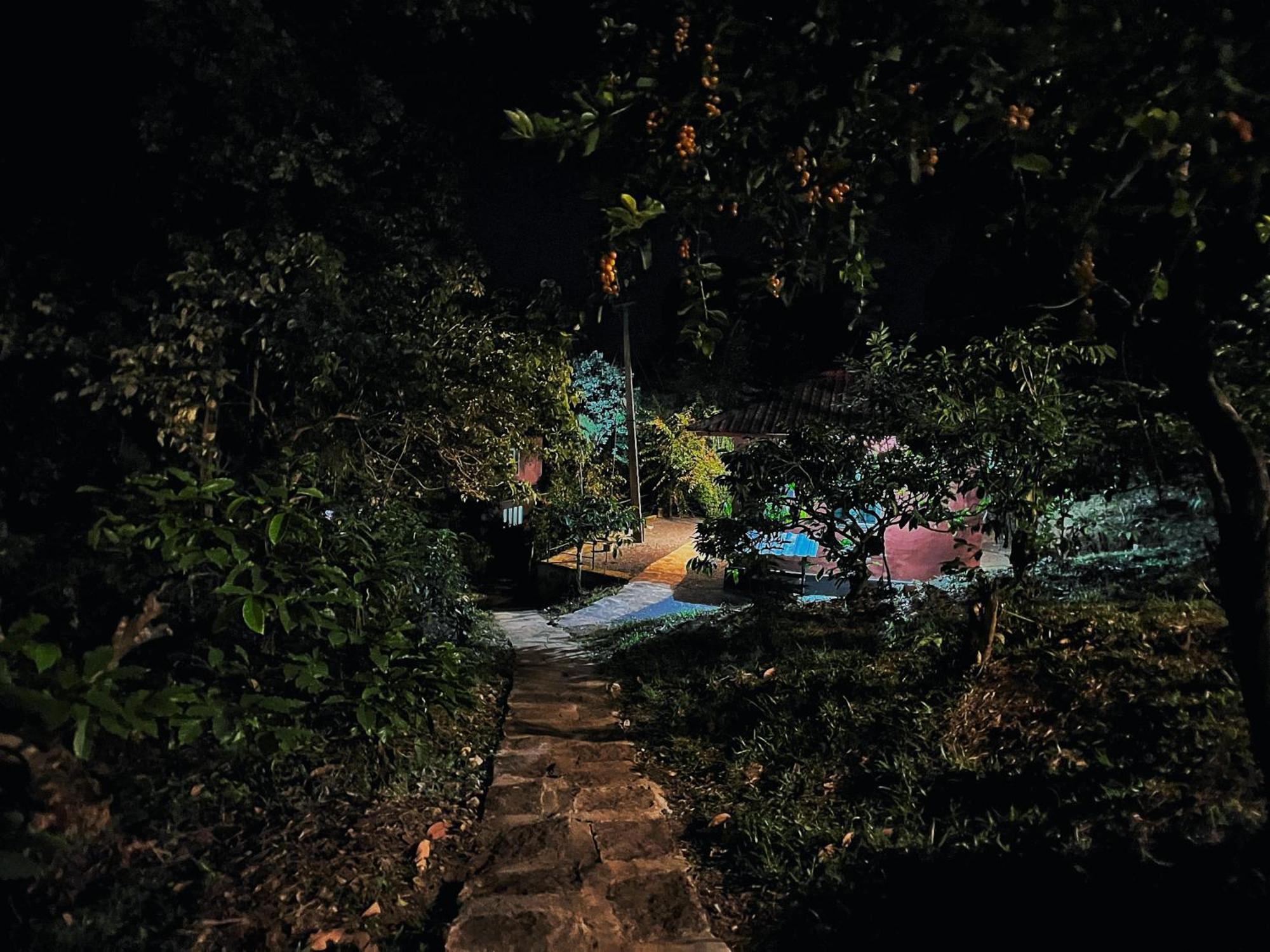Mahout Resort Wayanad - An Experiential Jungle Stay With Waterfall Kalpatta Zewnętrze zdjęcie