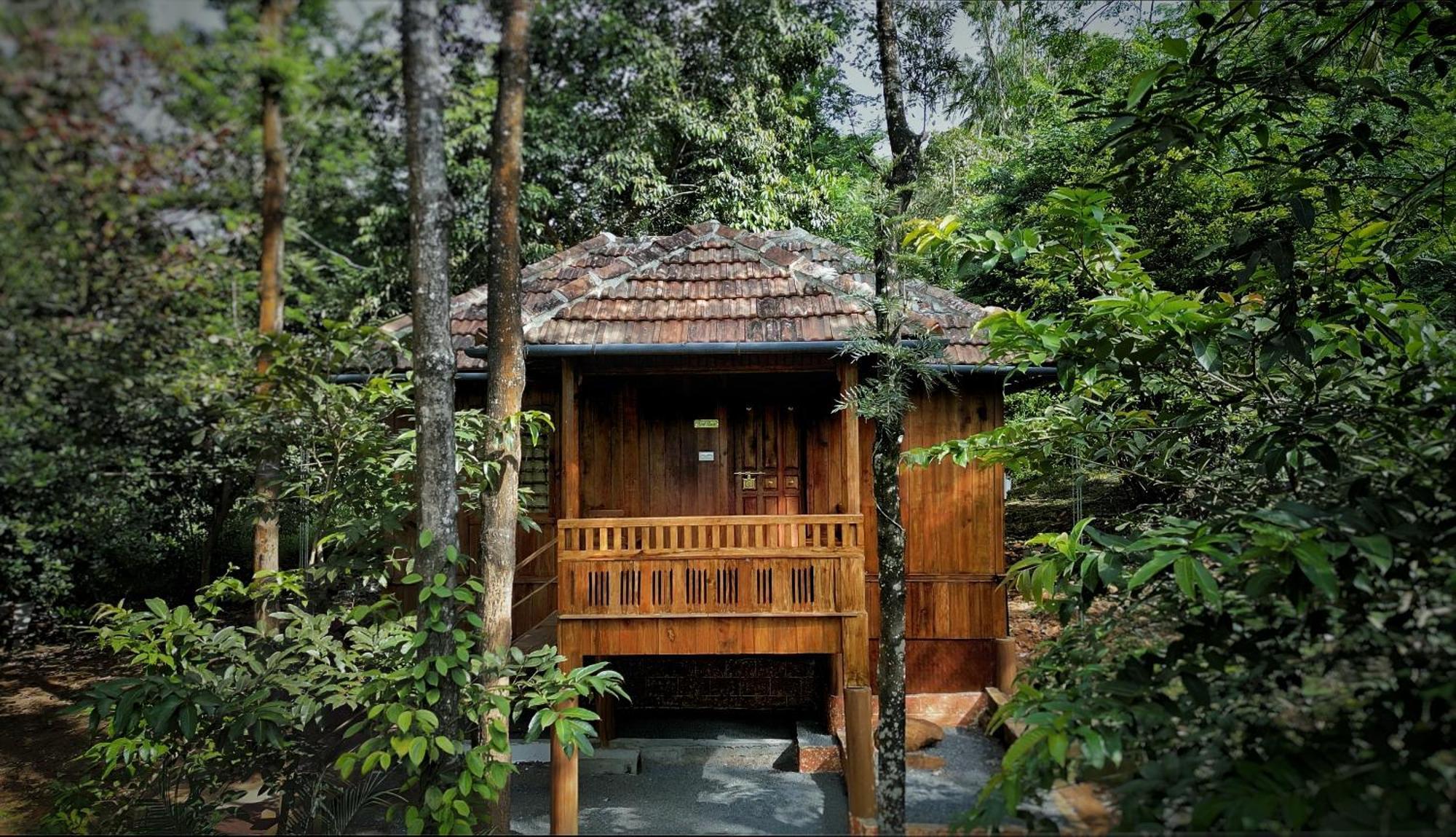 Mahout Resort Wayanad - An Experiential Jungle Stay With Waterfall Kalpatta Zewnętrze zdjęcie